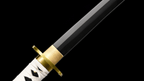 Katana Hakuryū 白竜 — Dragon blanc